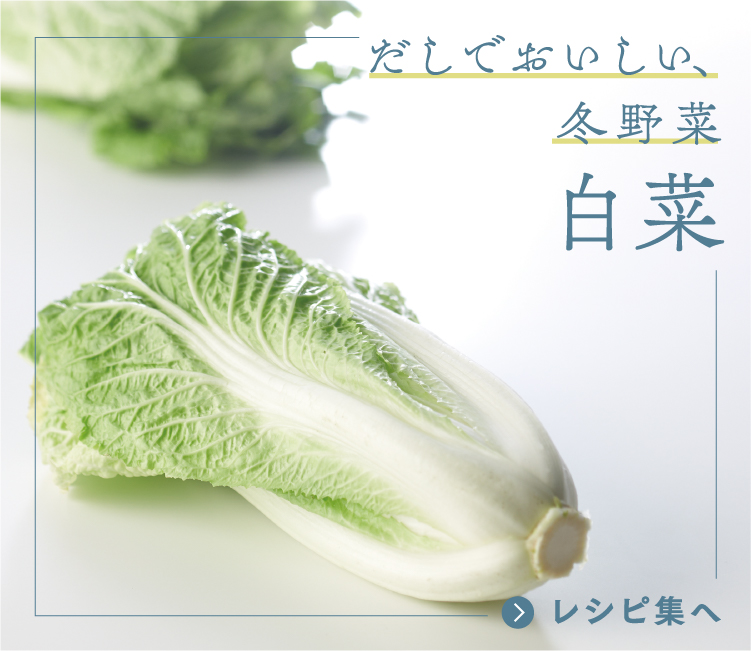 だしでおいしい、冬野菜 白菜