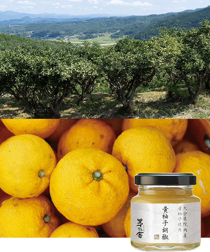 大分県院内産 ハンザキ柚子使用『黄柚子胡椒』